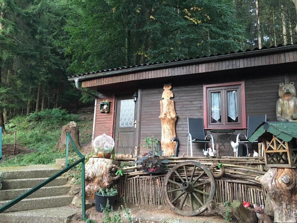 Waldnest Odenwald - Waldhauszimmer Holiday home *